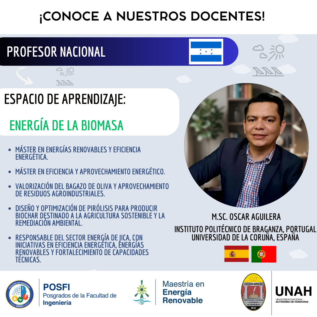 Imagen 11